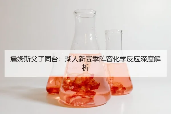 zhan-mu-si-fu-zi-tong-tai-hu-ren-xin-sai-ji-zhen-rong-hua-xue-fan-ying-shen-du-jie-xi-3-825.jpg